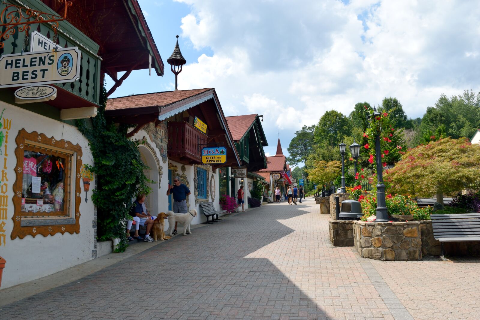 Nikon D3300 sample photo. Helen georgia, alpine village photography