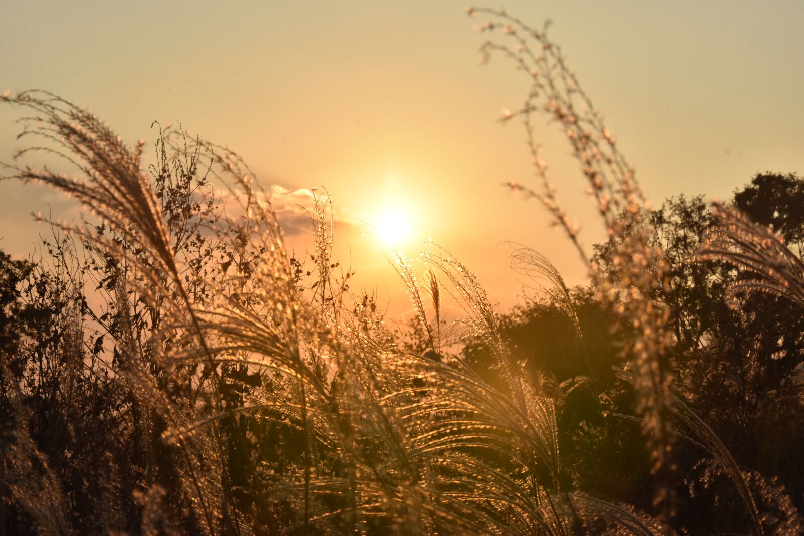 Nikon D7200 sample photo. Sunset, sun photography