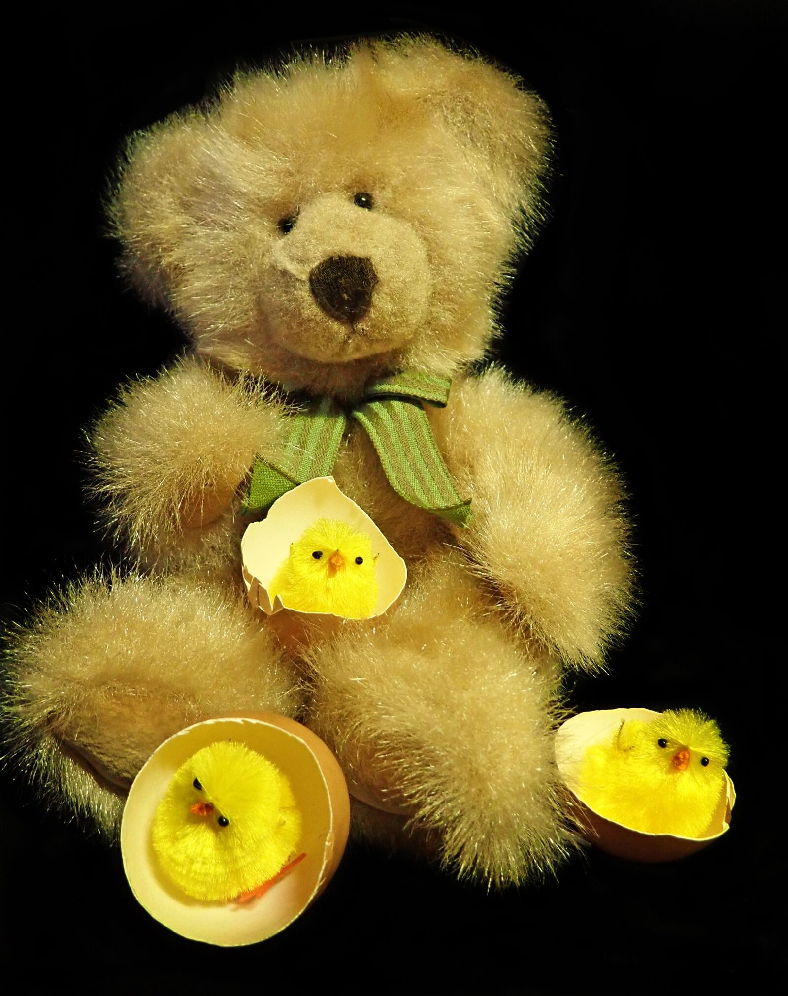 Olympus TG-5 sample photo. Teddy, toy, fluffy photography