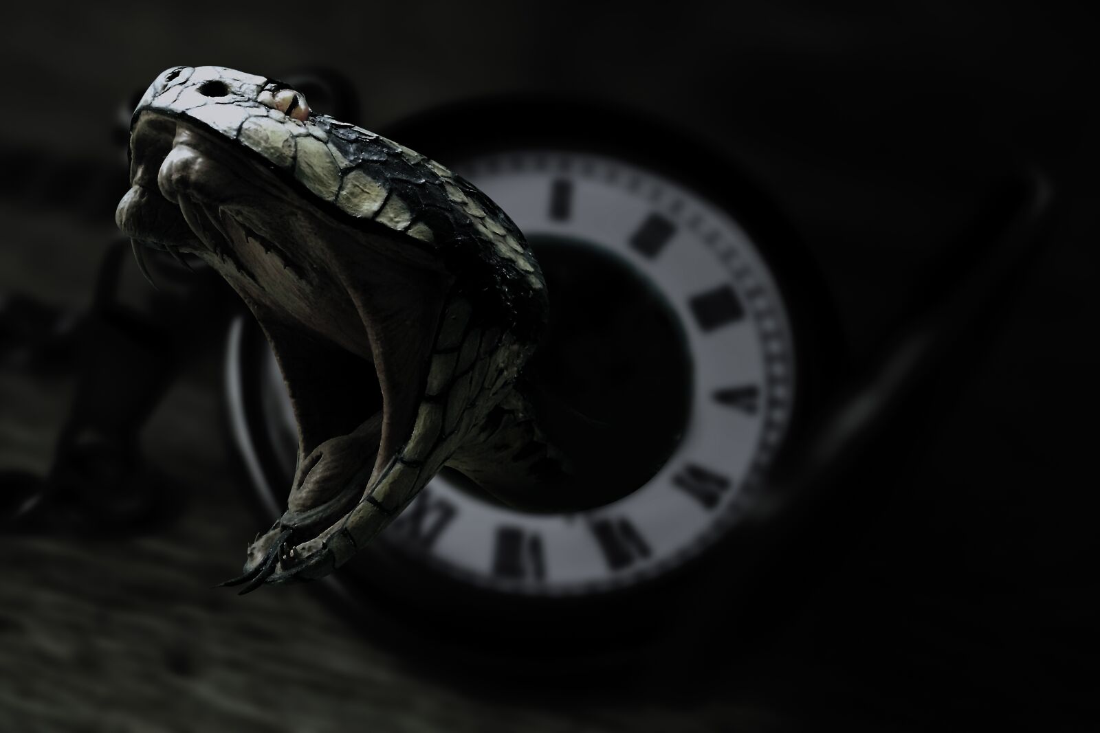 Fujifilm X-T2 + Fujifilm XF 80mm F2.8 R LM OIS WR Macro sample photo. Snake, clock, black photography