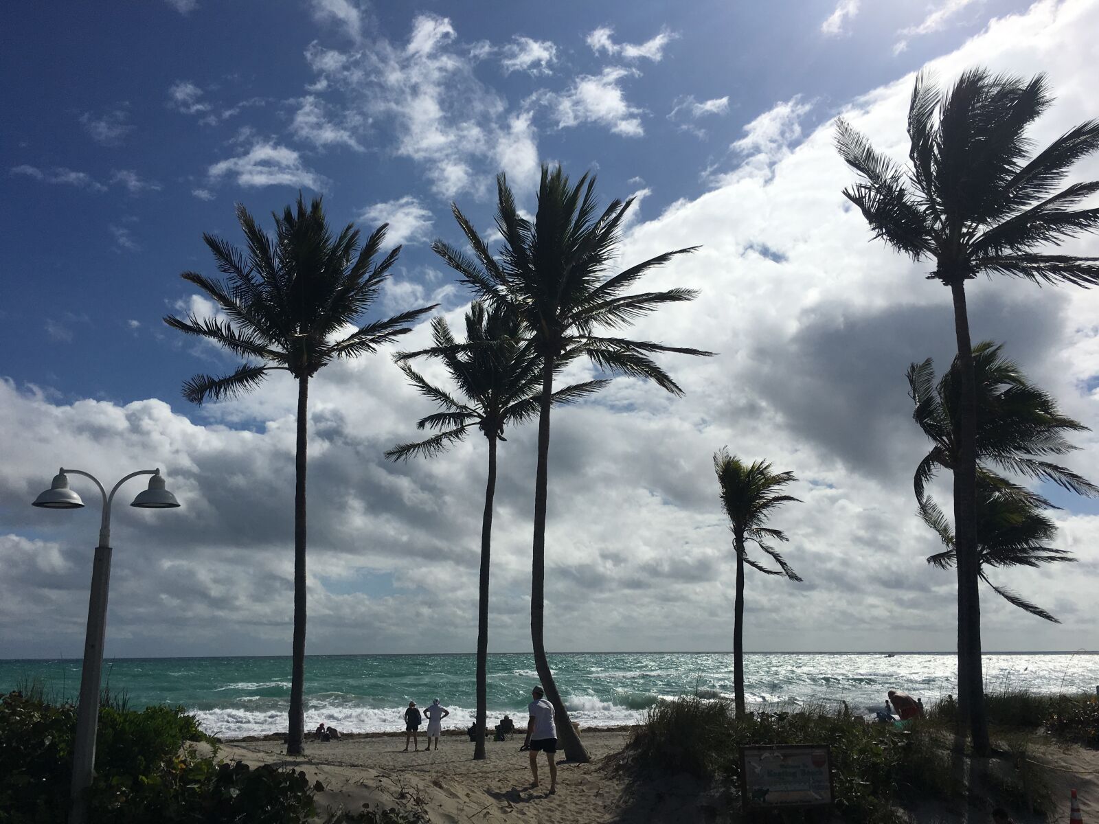 Apple iPhone 6s sample photo. Beach, palm trees, clouds photography