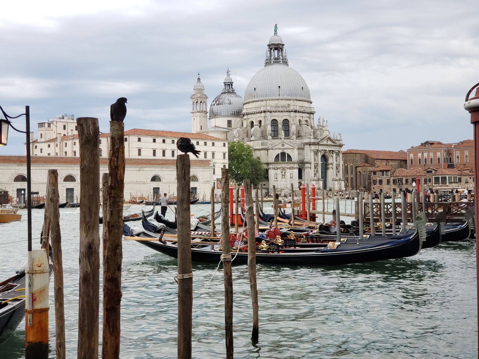 Samsung Galaxy S9+ sample photo. Venice, day, canal photography