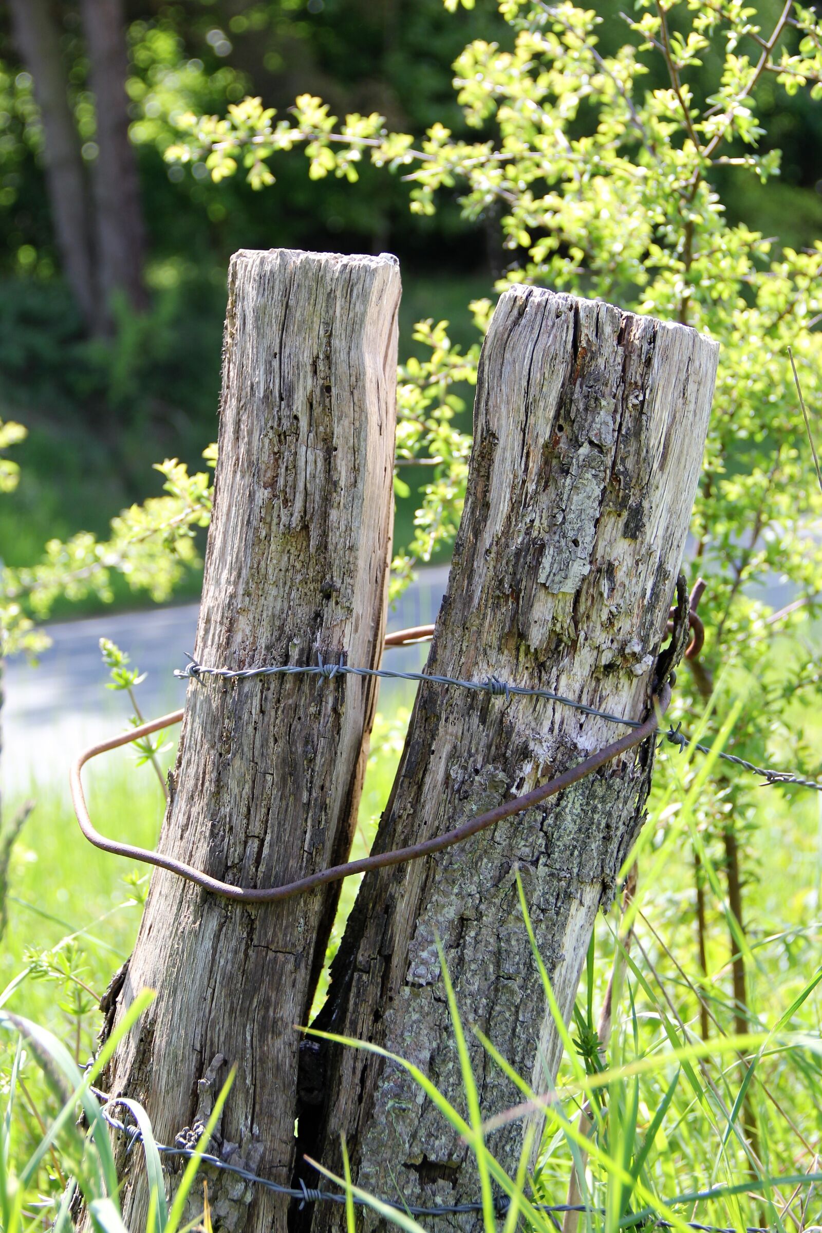 Canon EF-S 18-135mm F3.5-5.6 IS sample photo. Pile, pasture, meadow photography