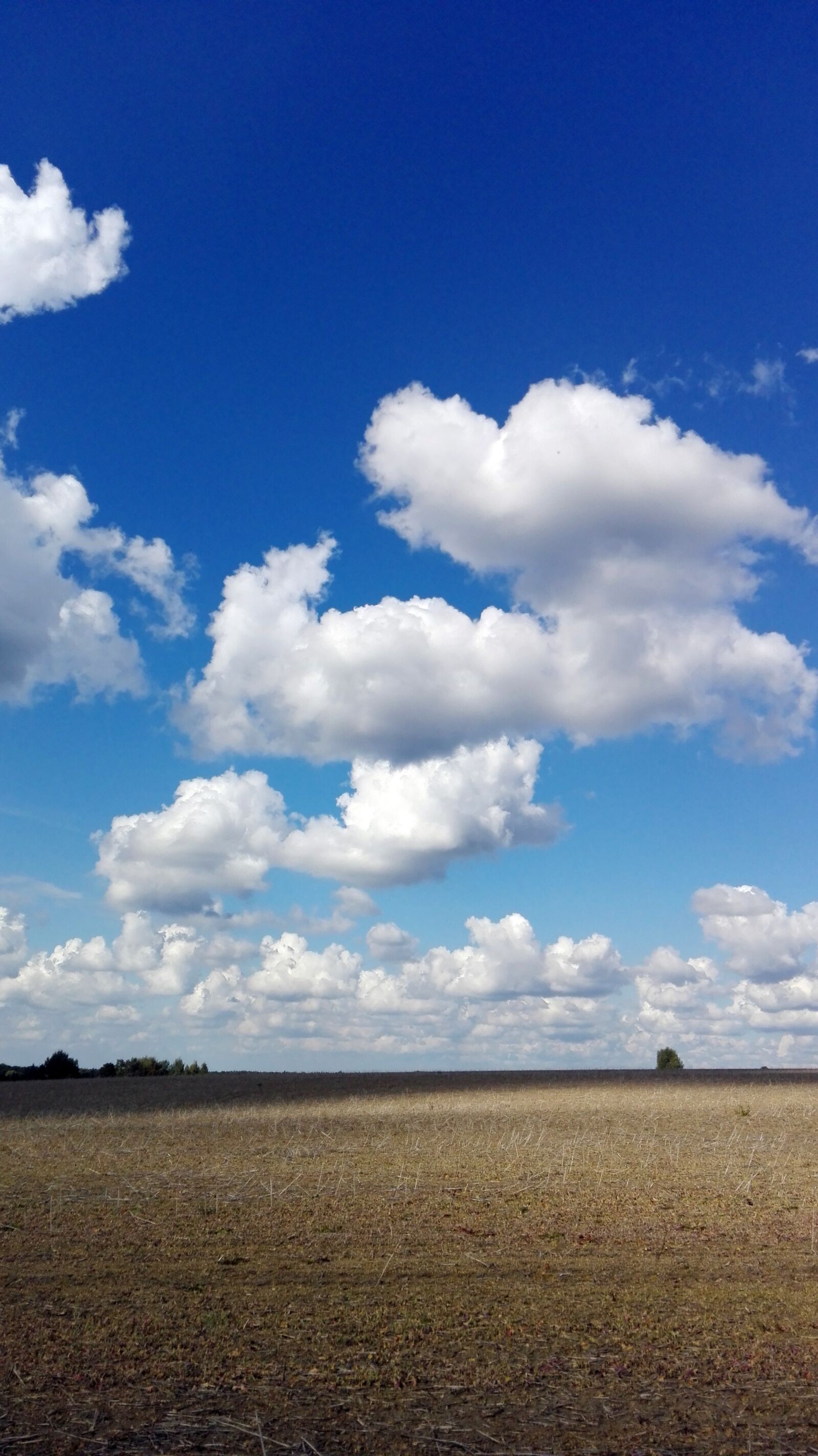 HUAWEI P8 Lite sample photo. Clouds, sky, field photography