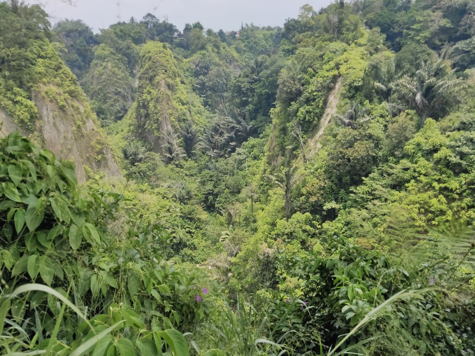 Realme 3 PRO sample photo. Ngarai, sianok, bukit photography