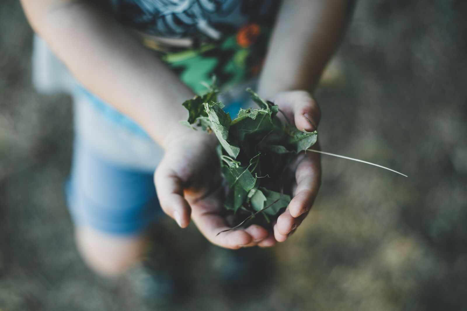 Canon EOS 5D Mark III sample photo. Child, adventure, outdoor photography