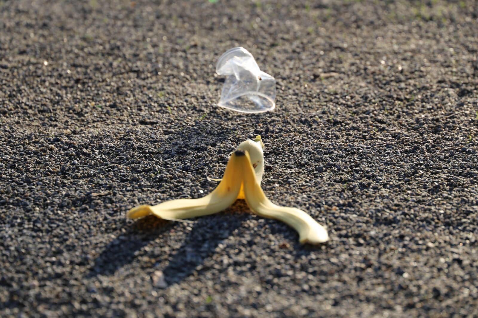 Canon EF 24-105mm F3.5-5.6 IS STM sample photo. Dirt, outside, banana photography