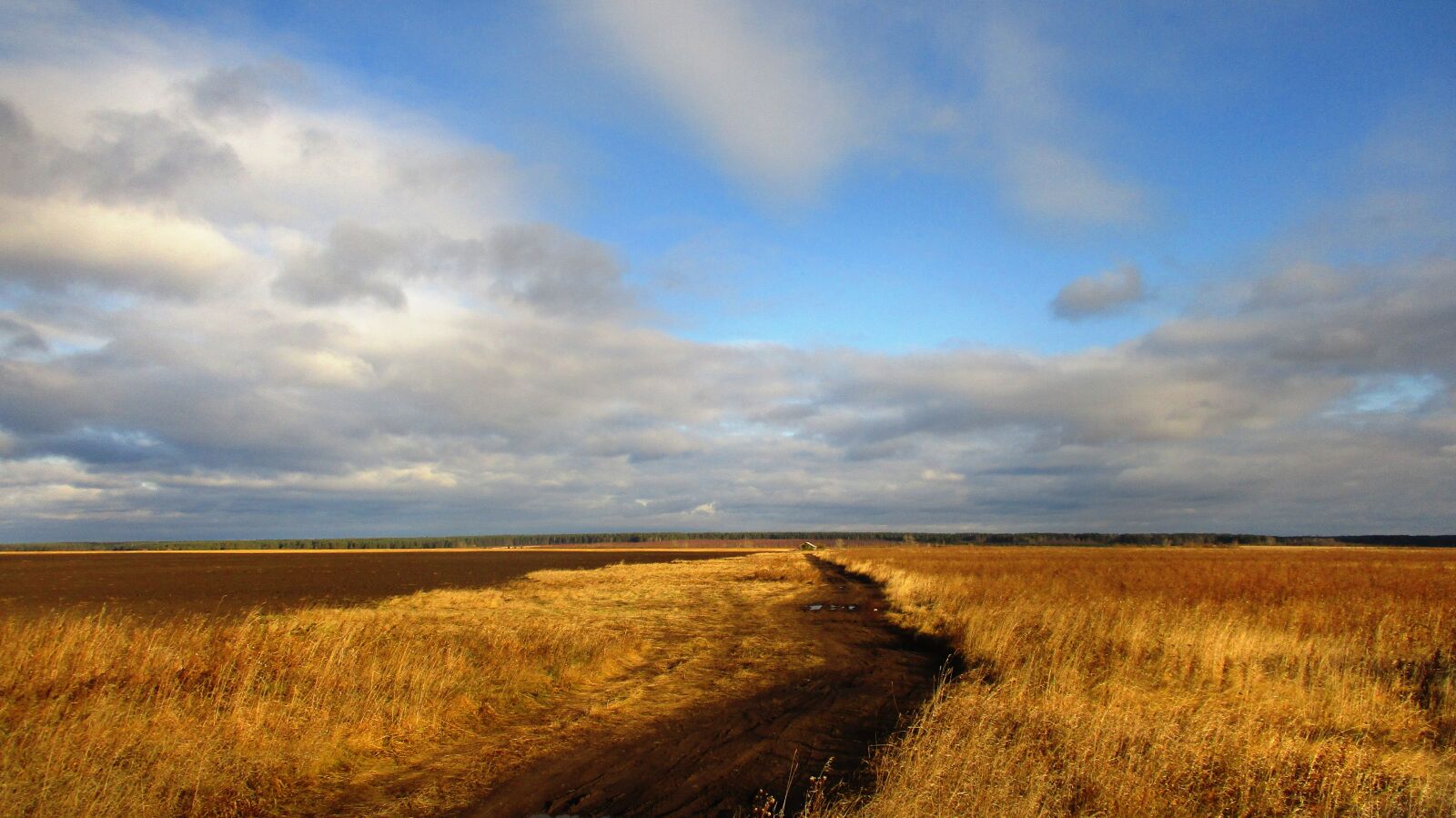 Canon IXUS 185 sample photo. Road, field, russia photography