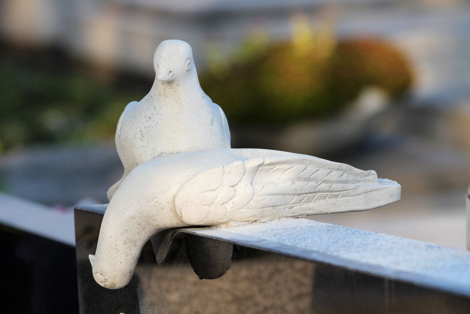 Canon EOS 600D (Rebel EOS T3i / EOS Kiss X5) + Canon EF 70-300mm F4-5.6 IS USM sample photo. White doves, monument, cemetery photography