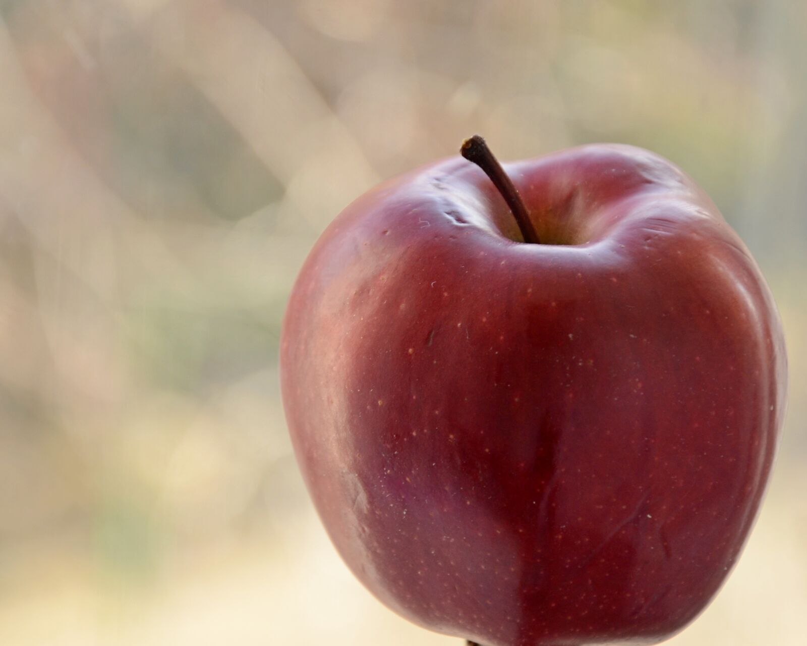Nikon D7000 sample photo. Apple, fruit, red photography