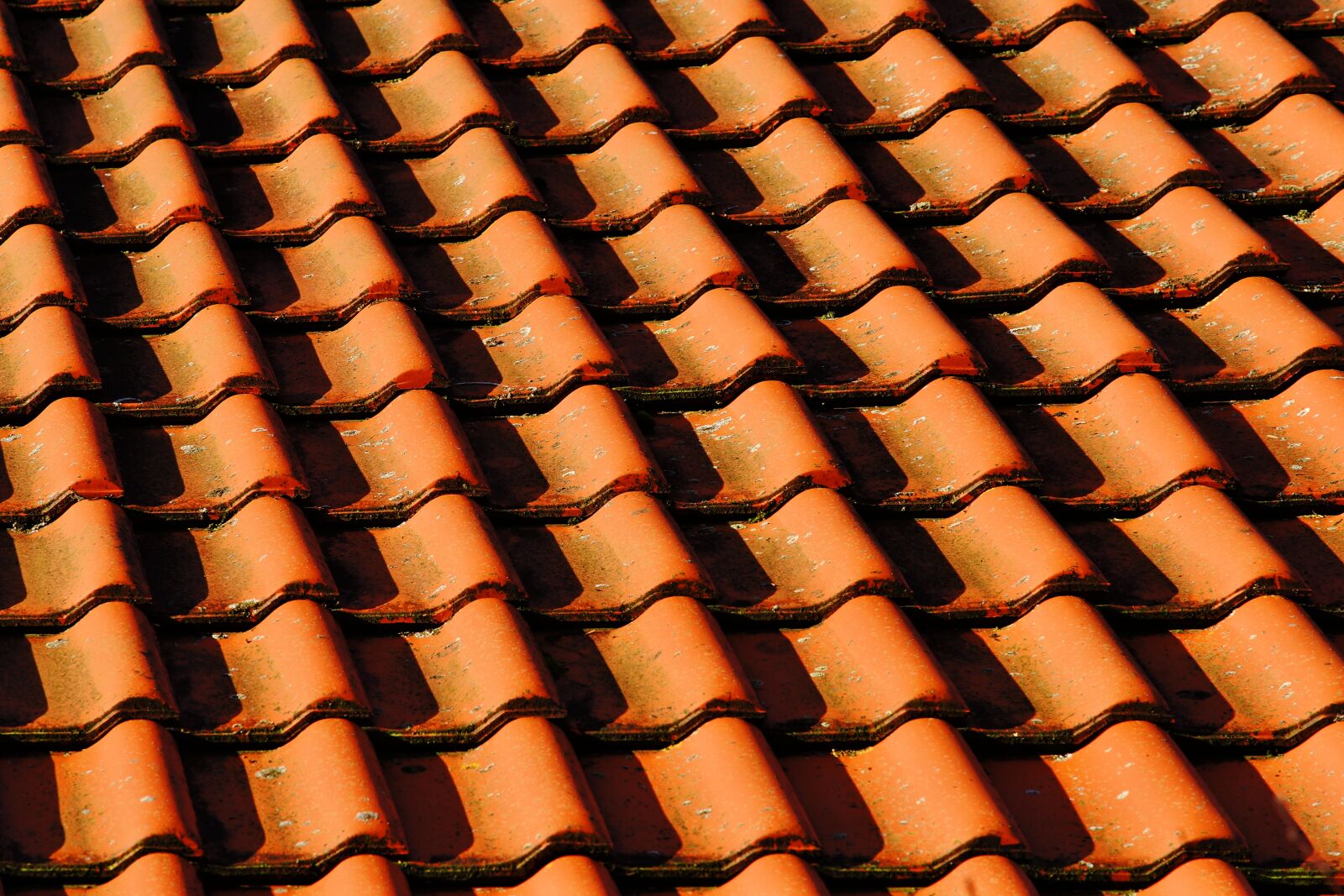 Sony a99 II sample photo. Pattern, tile, background photography
