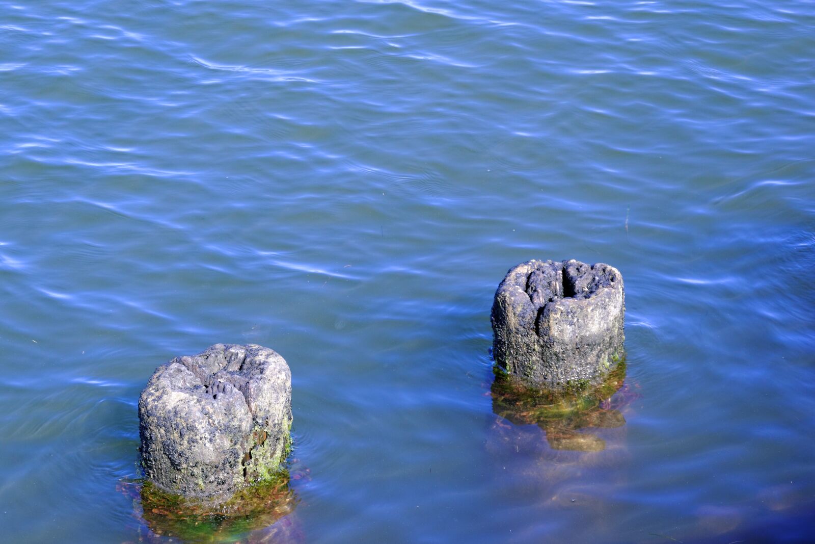 Nikon D5300 sample photo. Water, blue, piles photography