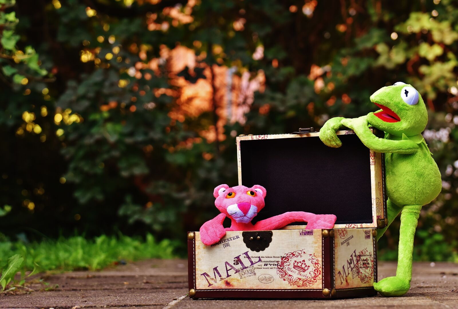 Nikon D7200 sample photo. Plush toys, kermit, the photography