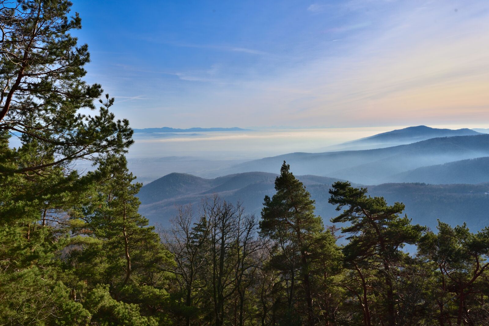 Nikon D750 sample photo. Mountain, landscape, fog photography