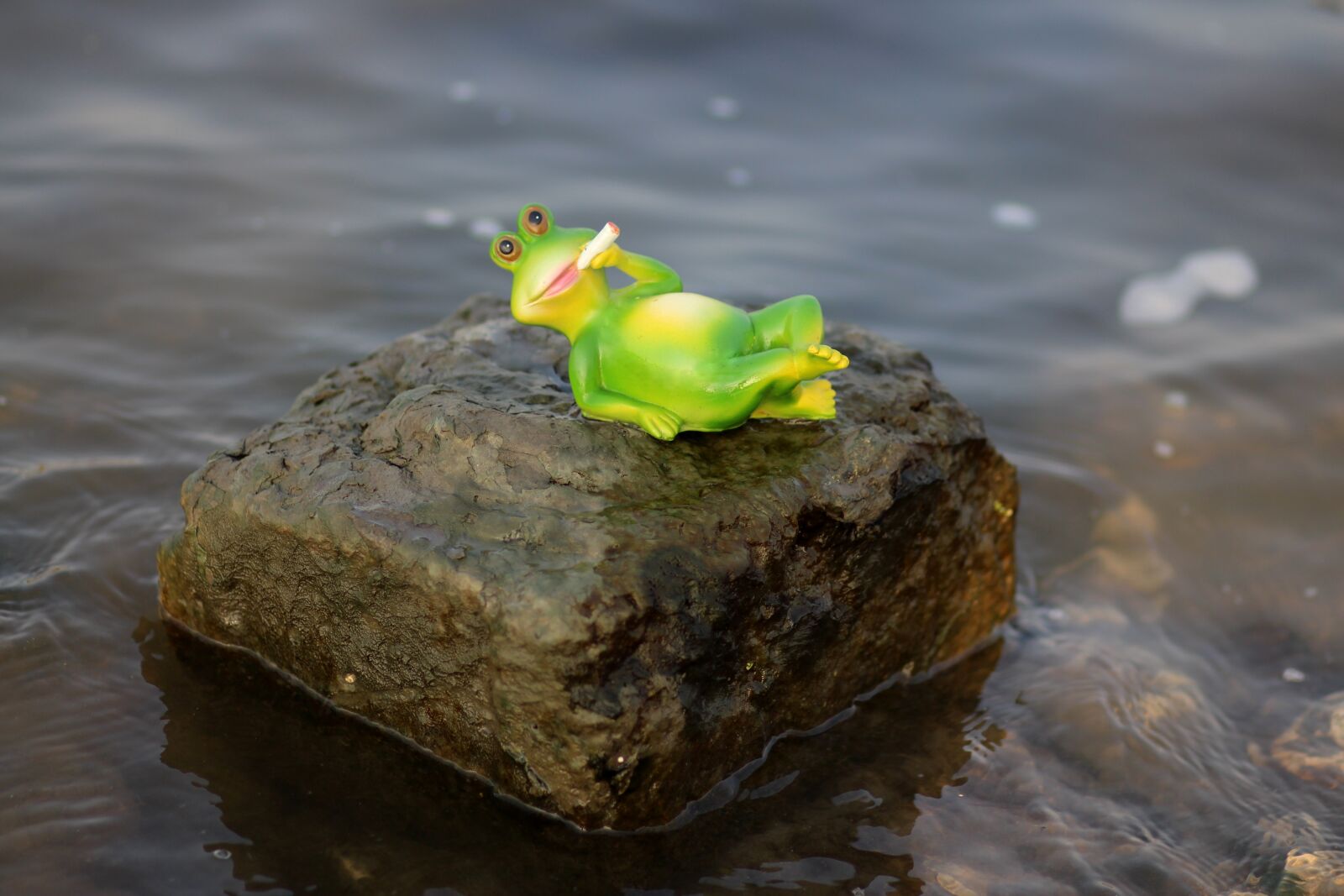 Canon EOS 700D (EOS Rebel T5i / EOS Kiss X7i) + Canon EF 85mm F1.8 USM sample photo. Frog, water, lazy photography