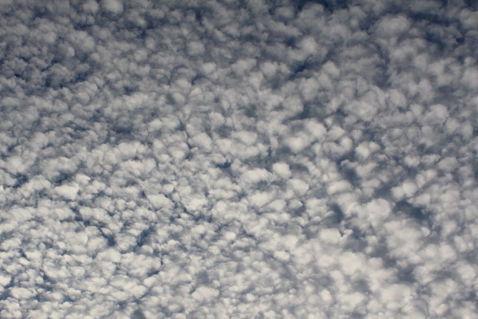 Canon EOS 600D (Rebel EOS T3i / EOS Kiss X5) sample photo. Cloud, sky, the clouds photography
