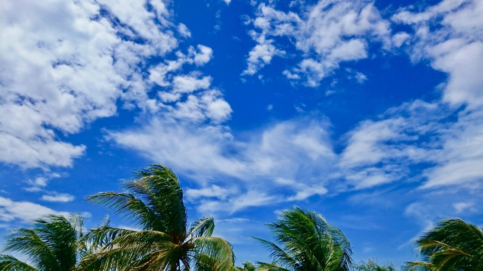Sony Xperia Z3 sample photo. Melons, clouds, blue skies photography