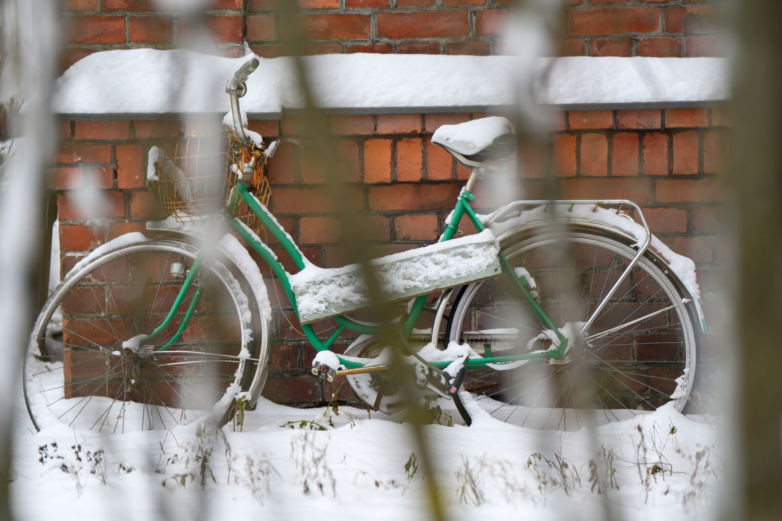 Nikon Nikkor Z 70-180mm F2.8 sample photo. Bicycle behind photography