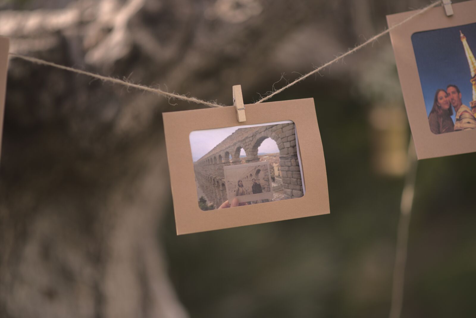 Nikon D750 sample photo. Photo, picture, hanging photography