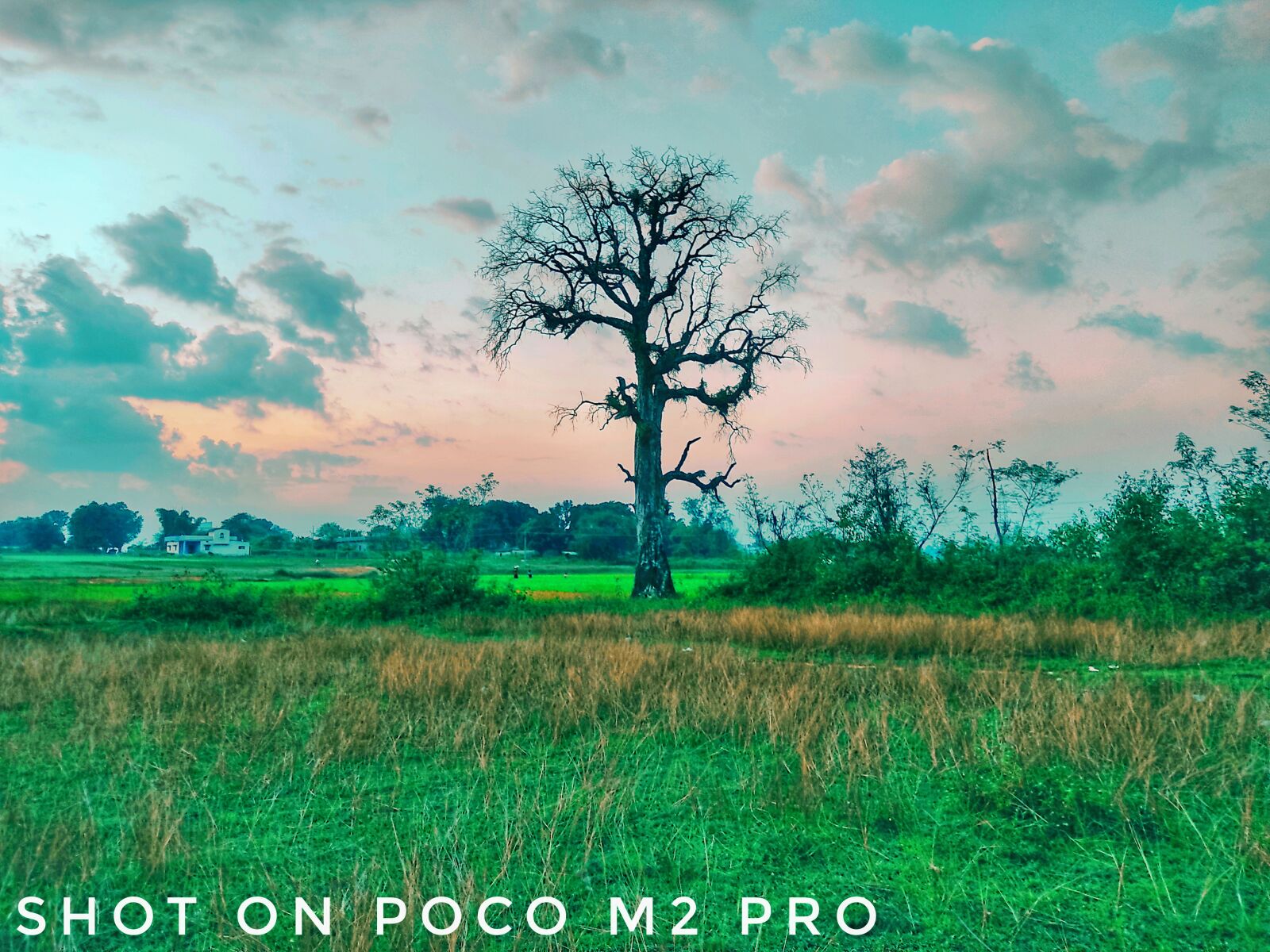 Xiaomi POCO M2 Pro sample photo. Natural, village, tree photography