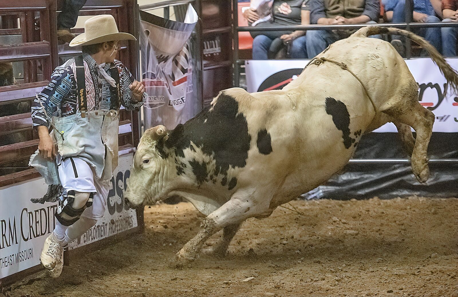 Nikon D850 sample photo. Bull, bull rider, bull photography