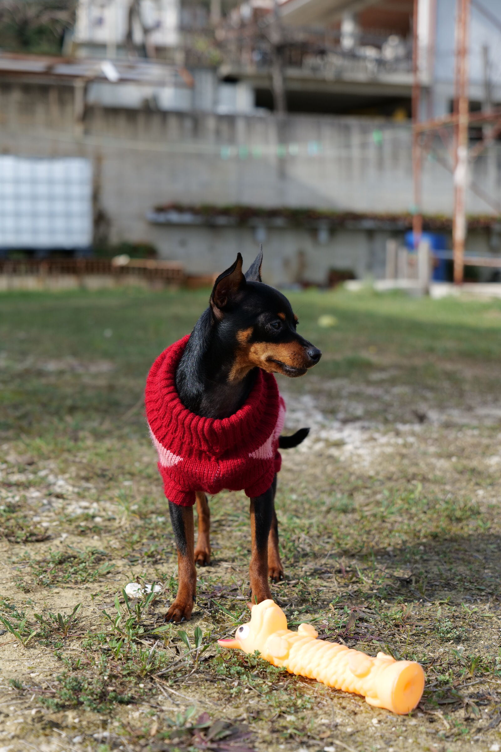Panasonic DC-S5D sample photo