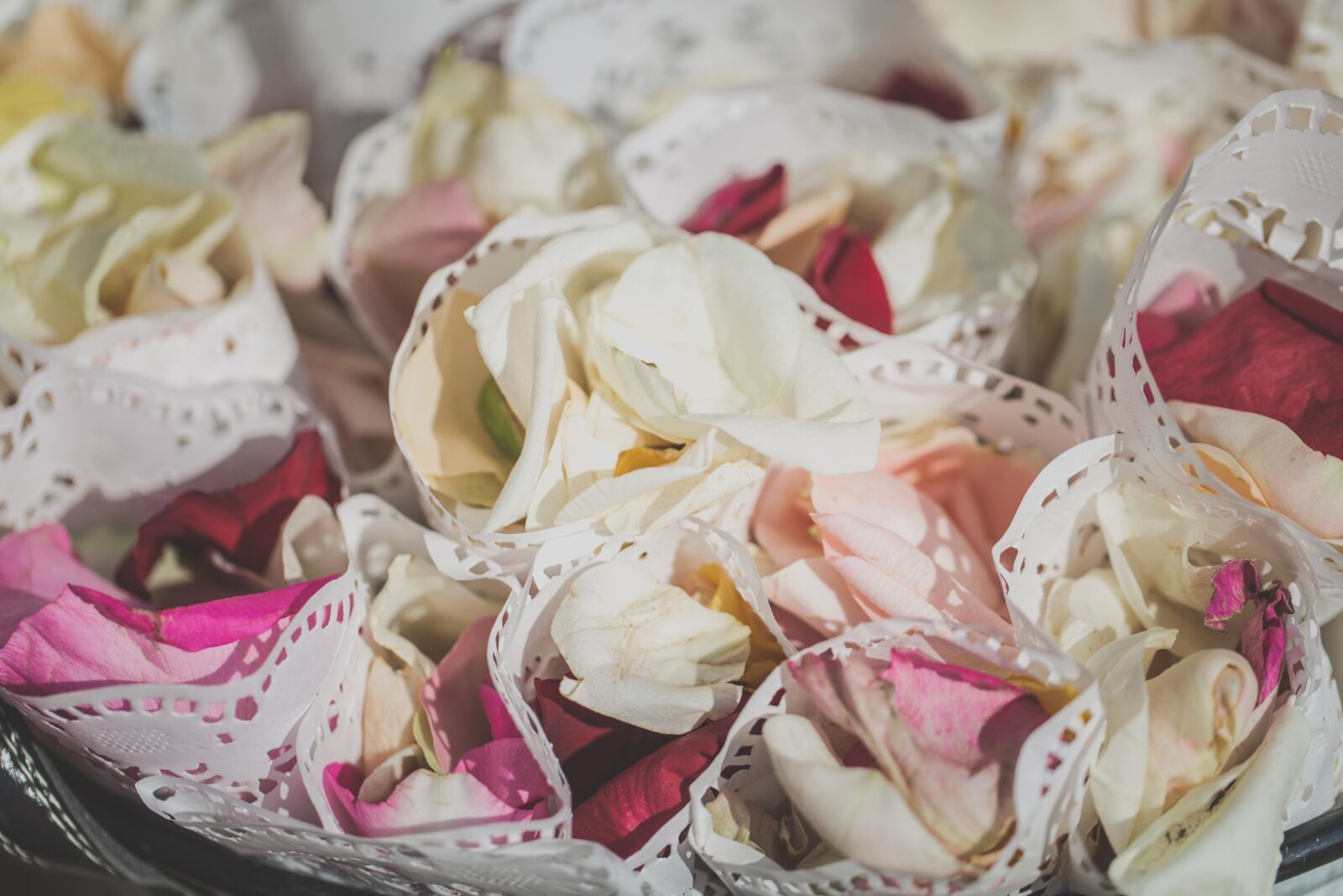 Canon EF 100mm F2.8L Macro IS USM sample photo. Wedding, flowers, wedding flowers photography