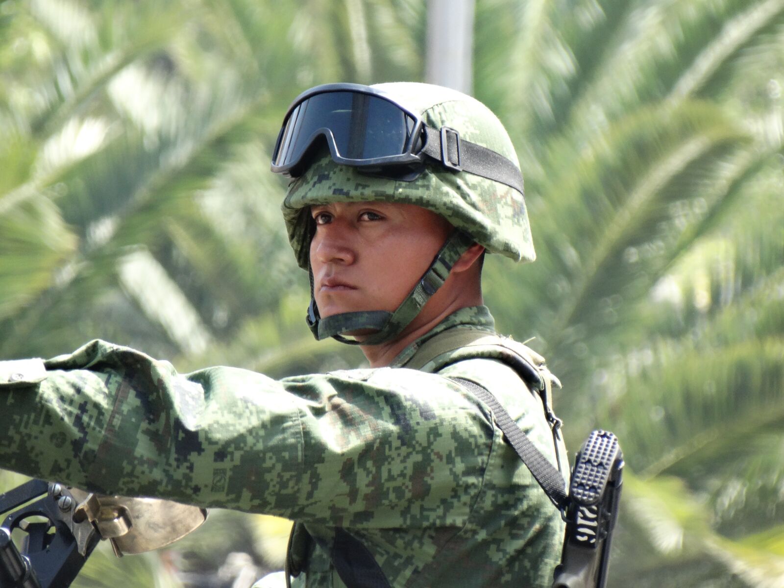 Sony Cyber-shot DSC-HX300 sample photo. Military, soldier, parade photography