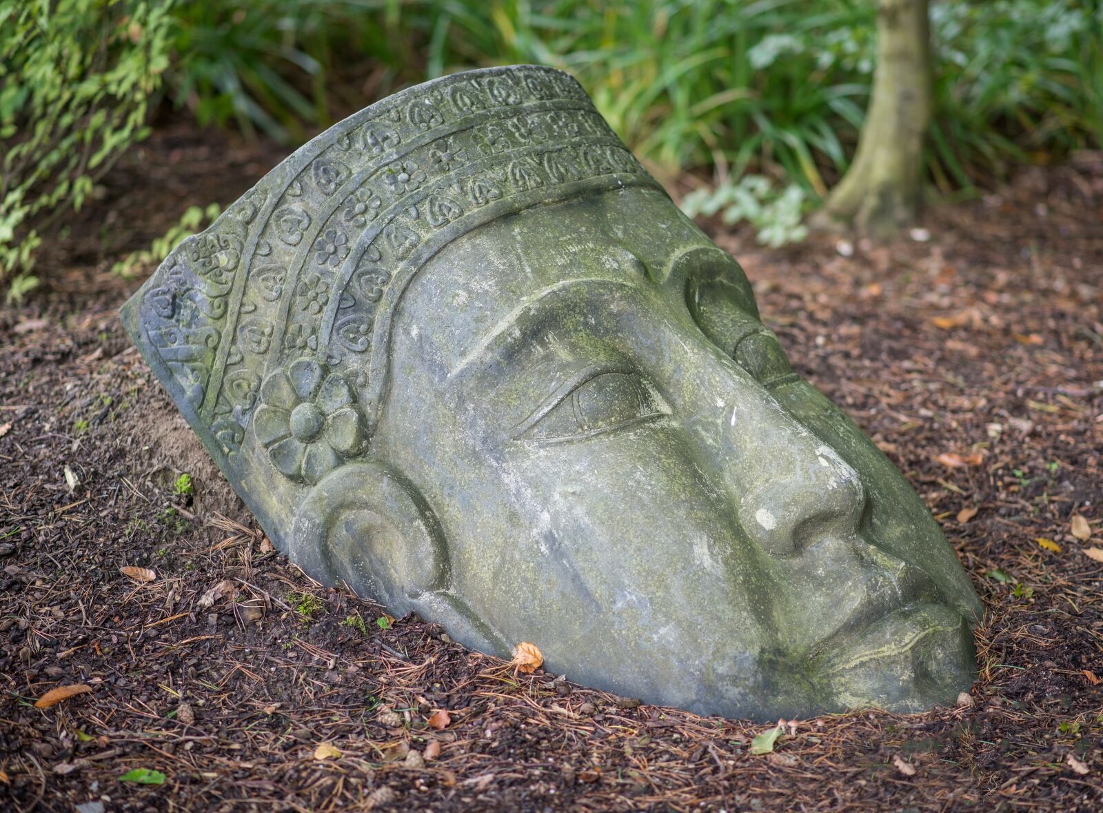 Nikon D600 sample photo. Buddha, head, bust photography