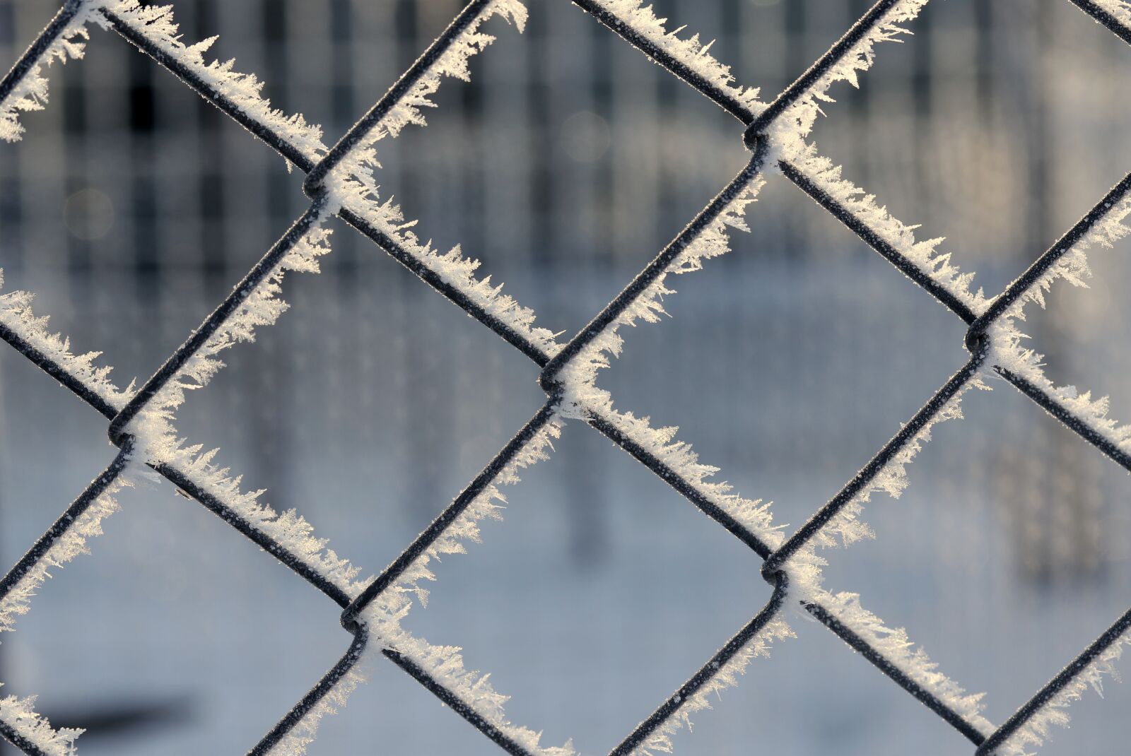 Canon EF-S 60mm F2.8 Macro USM sample photo. Fence, frozen, snow photography