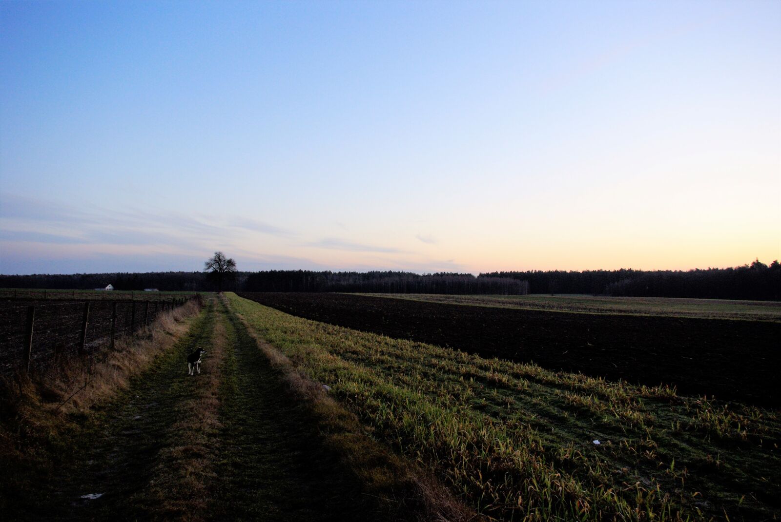 Pentax K200D sample photo. Way, dirt road, the photography