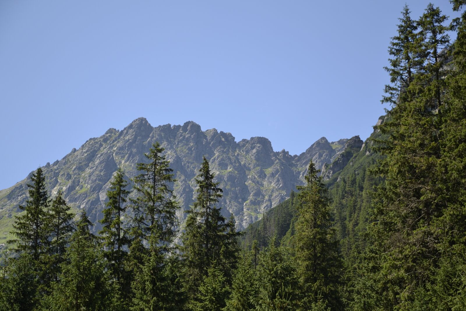 Nikon D3100 sample photo. Mountains, buried, valley of photography
