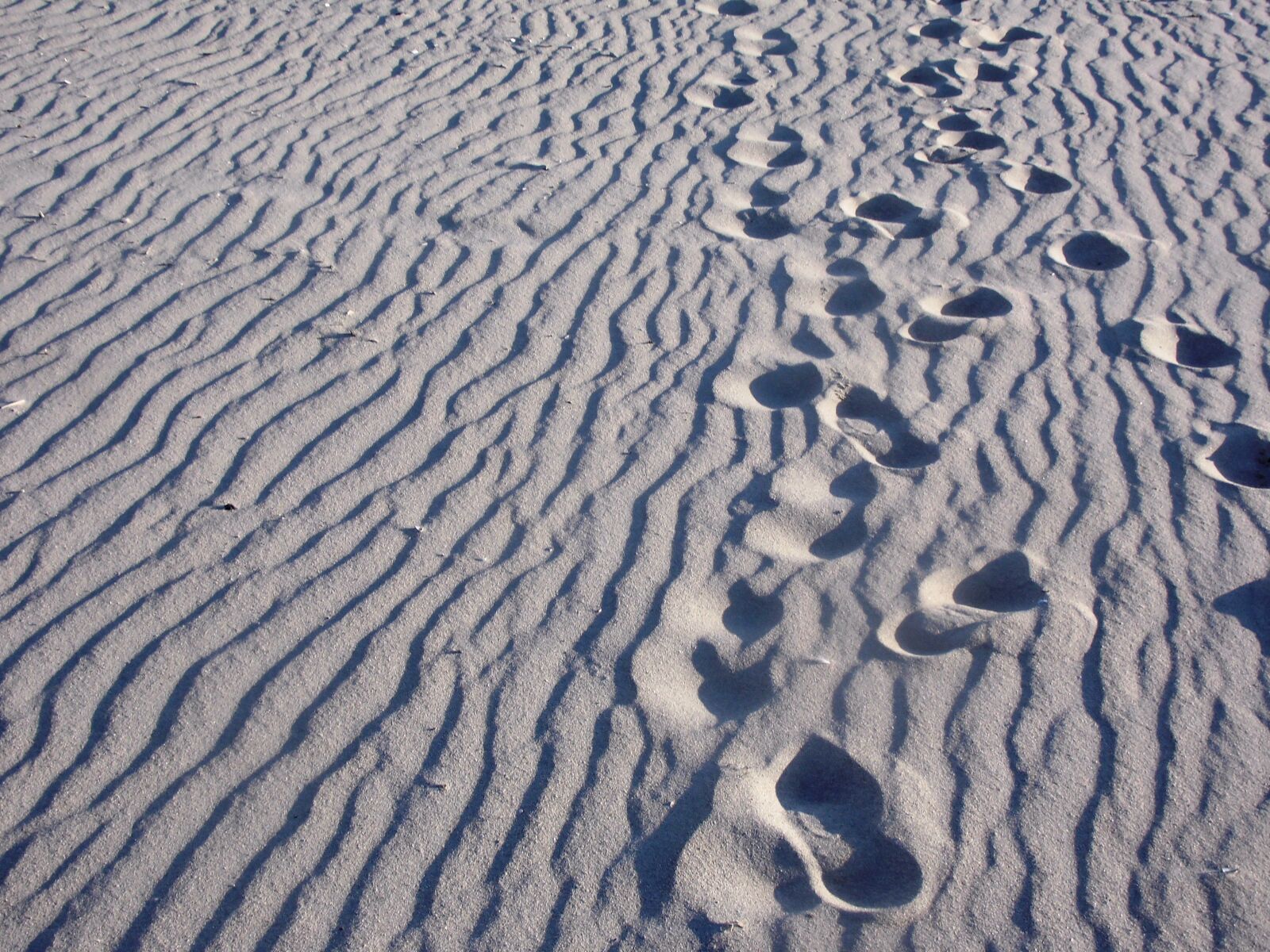 MEDION MD86824 sample photo. Beach, steps, lonely photography