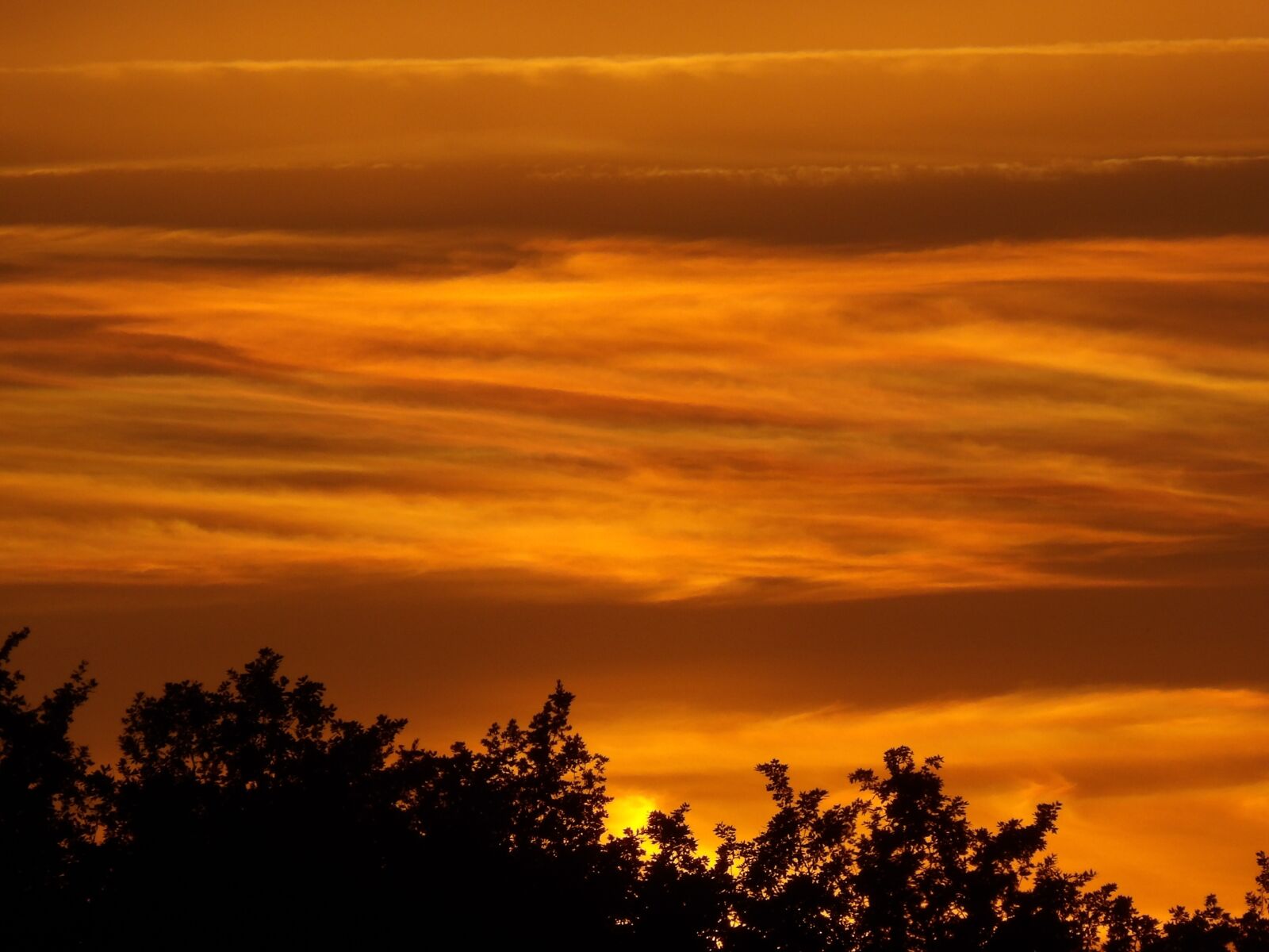 Ricoh PENTAX XG-1 sample photo. Sunset, dawn, dusk photography