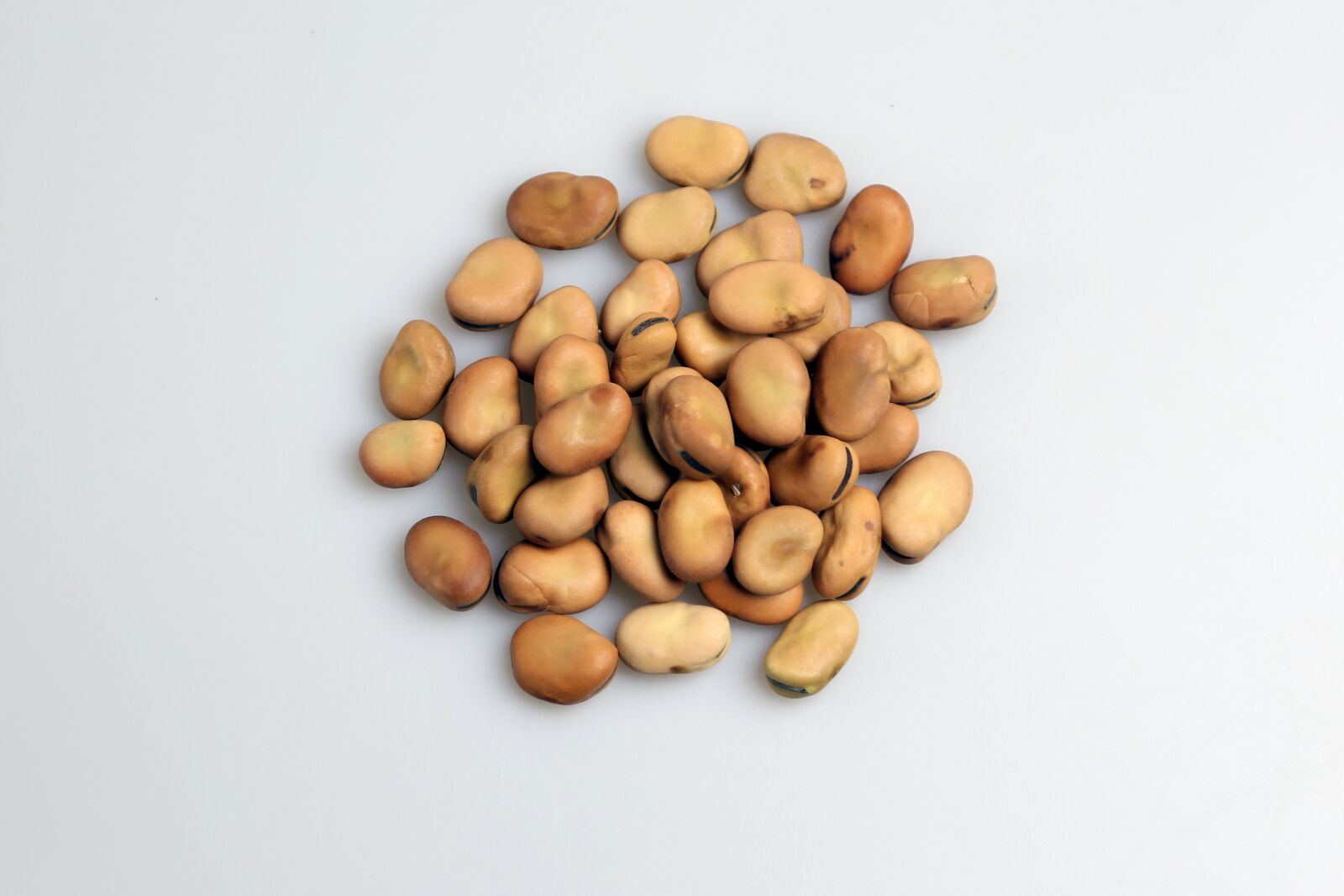 Canon EOS 6D + Canon EF 24-105mm F4L IS USM sample photo. Seeds, bean, nutrients photography