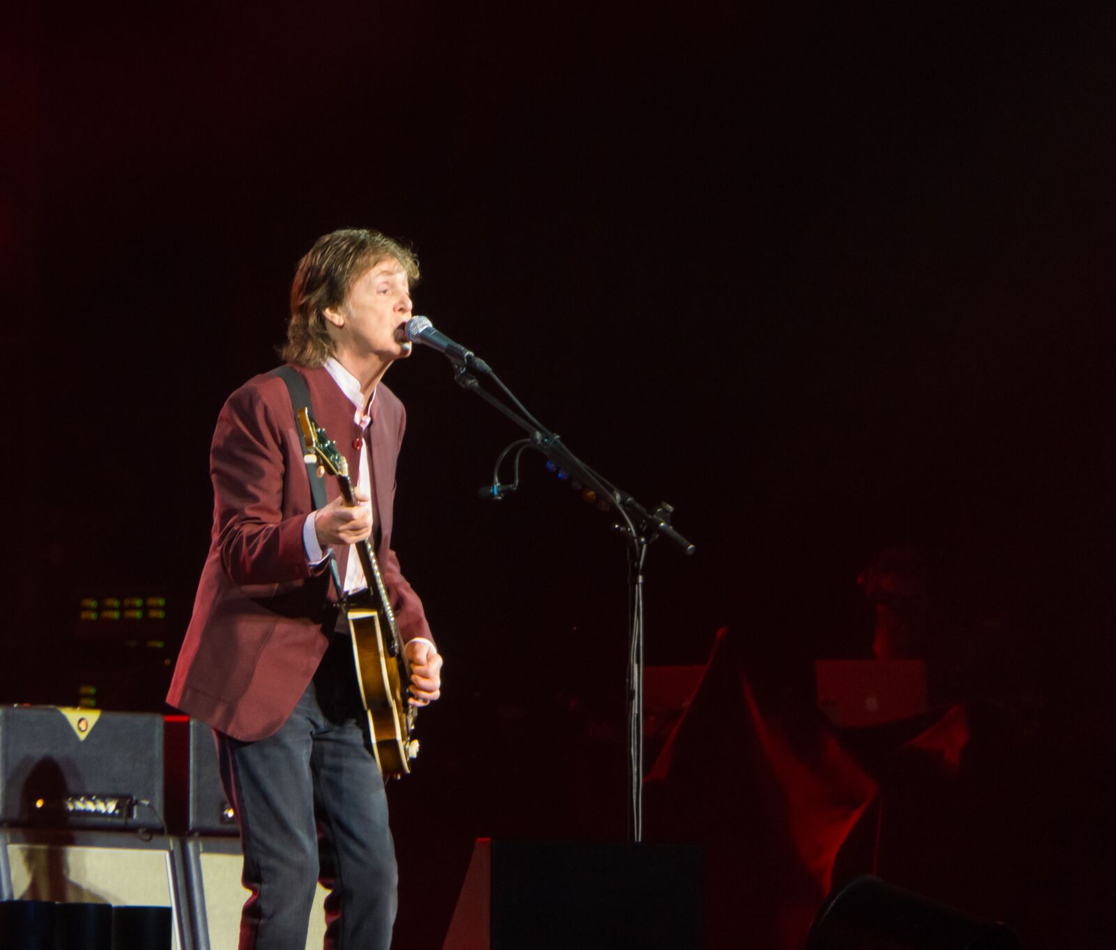 Sony a6000 + Sony E 18-200mm F3.5-6.3 OSS sample photo. Sir paul mccartney, concert photography