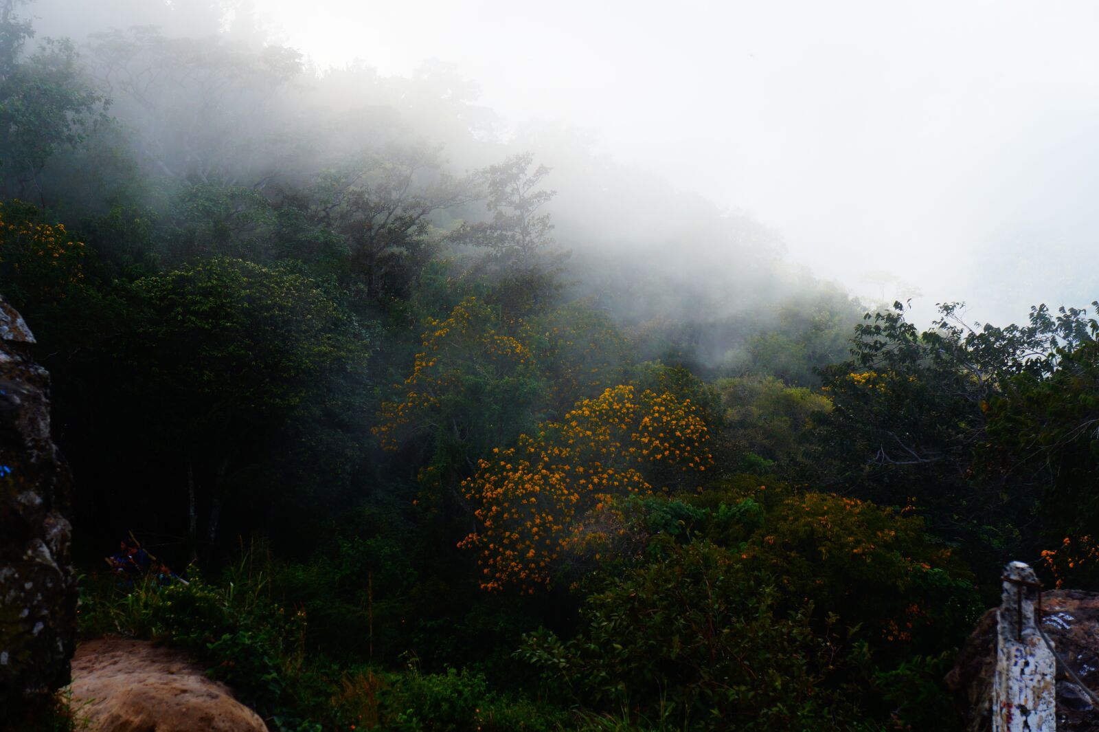 Sony Alpha a3000 sample photo. El salvador, cloudy, mist photography