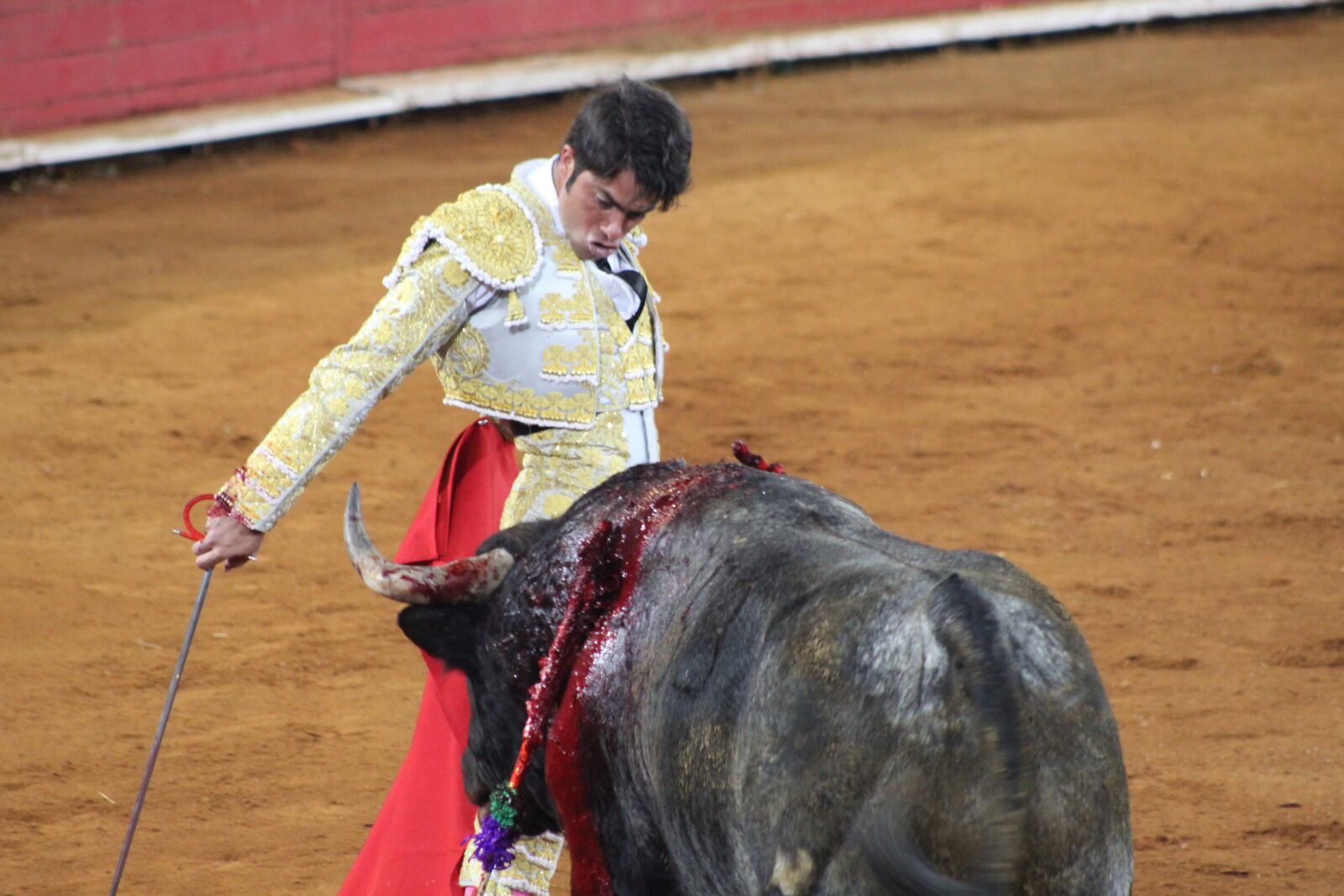 Canon EF75-300mm f/4-5.6 sample photo. Toro, torero, bulls photography