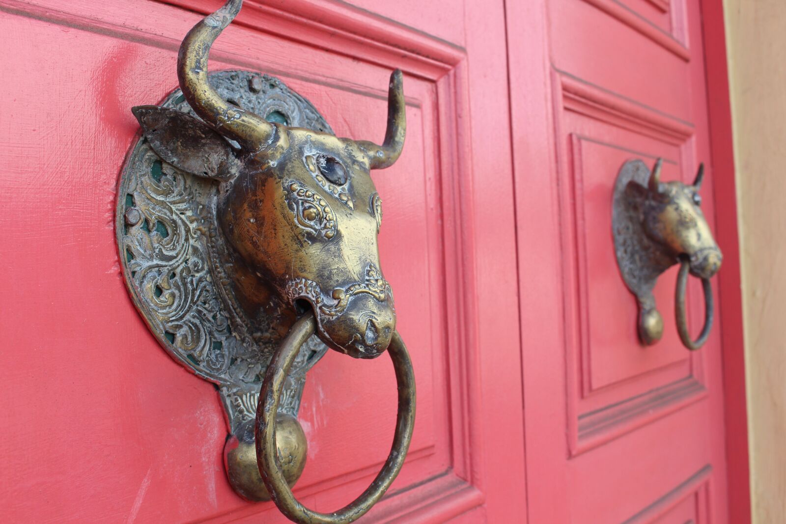 Canon EOS 700D (EOS Rebel T5i / EOS Kiss X7i) sample photo. Door knob, door, napier photography