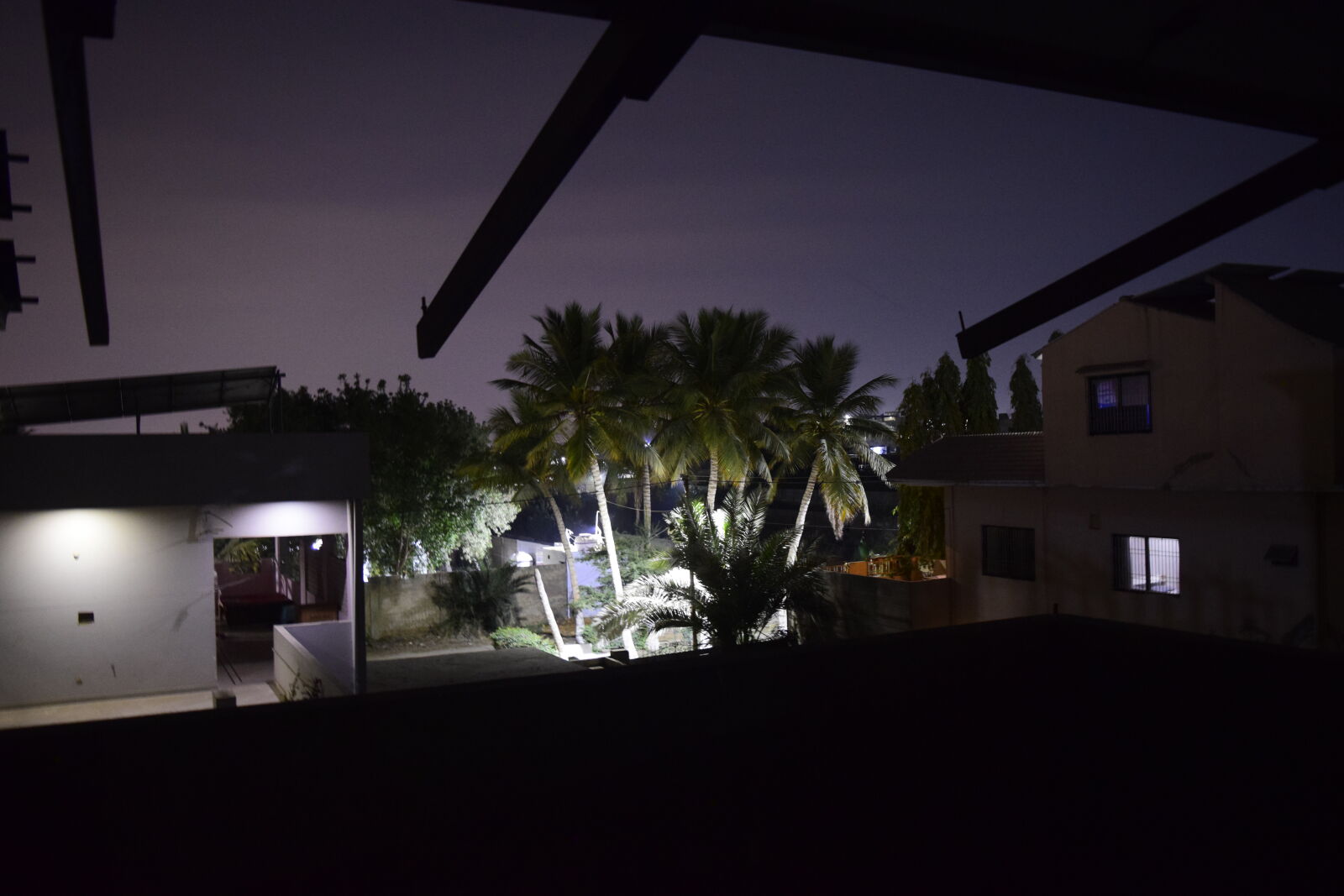 Nikon D3300 sample photo