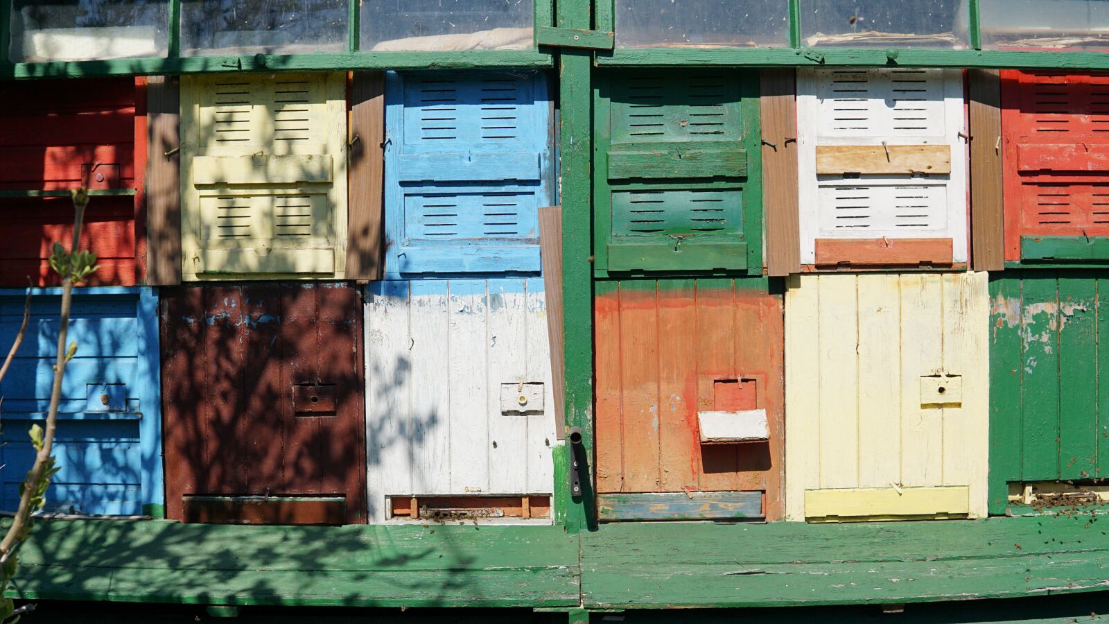 30mm F1.4 DC DN | Contemporary 016 sample photo. Bees, honey, bee photography