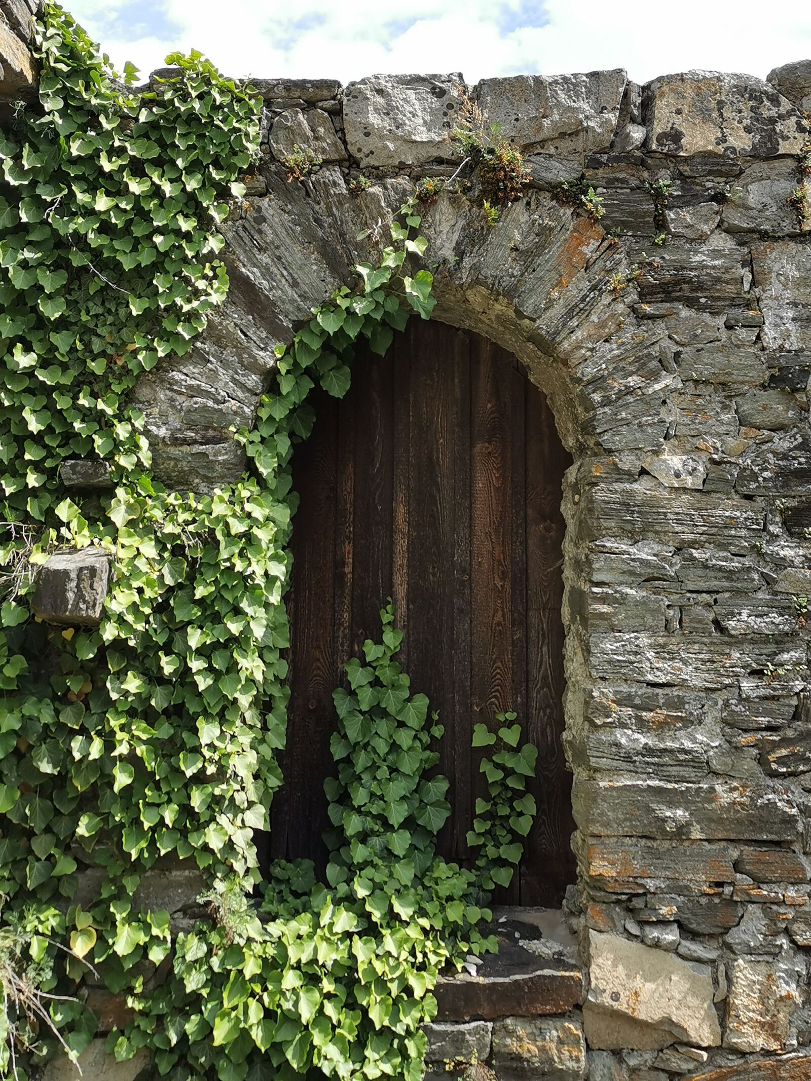 HUAWEI P30 sample photo. Ruin, castle, ivy photography