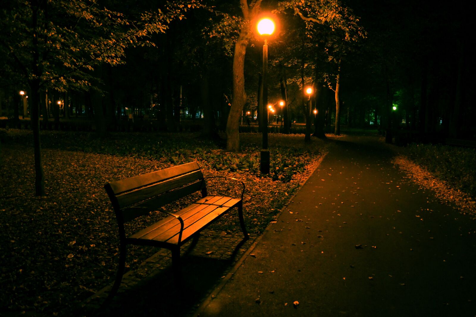 Nikon D3100 sample photo. Night, park, bench photography