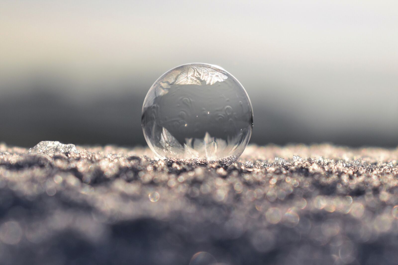 Nikon D5500 sample photo. Soap bubble, frozen, frozen photography