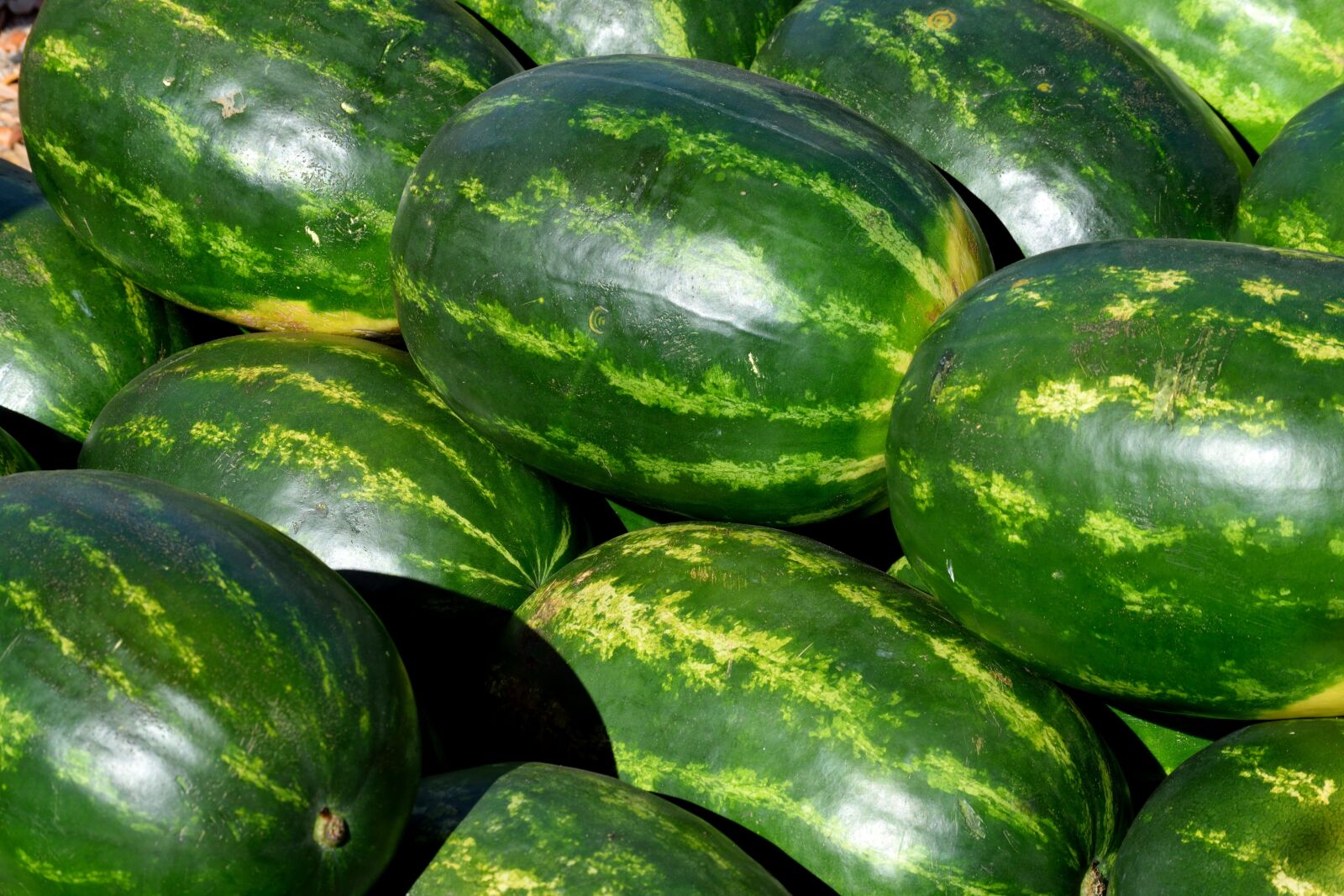 Nikon D3300 sample photo. Watermelon, melon, fruit photography
