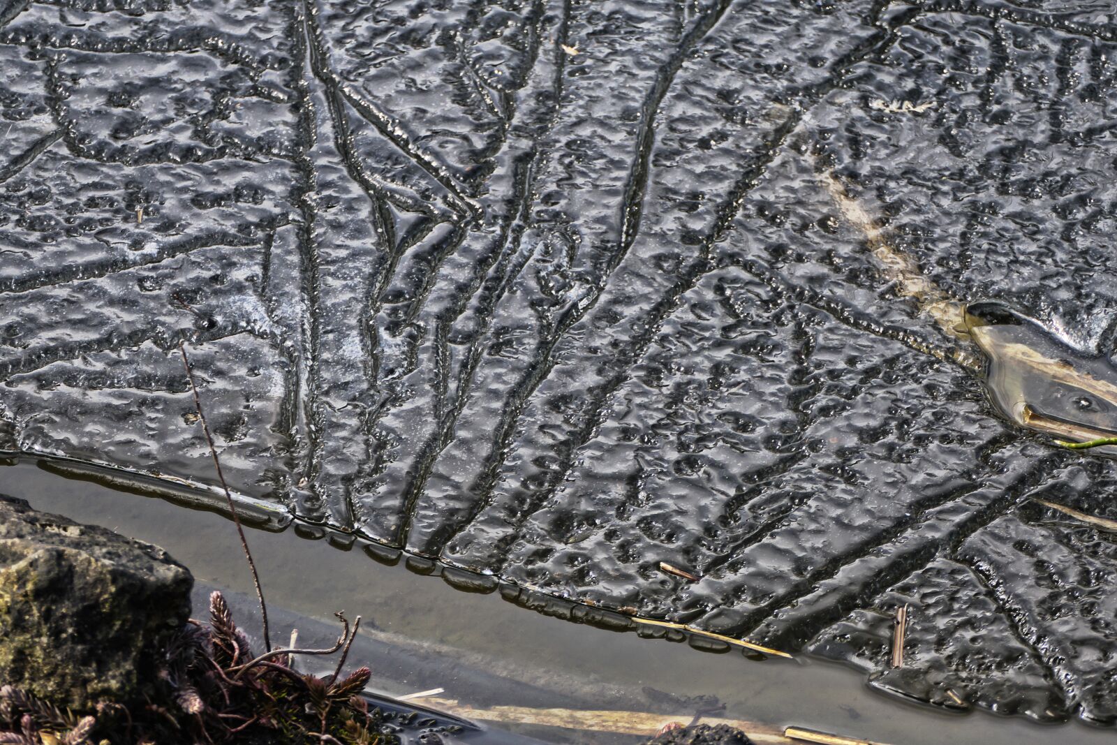 Panasonic Lumix DMC-FZ1000 sample photo. Water, thaw, ice rink photography