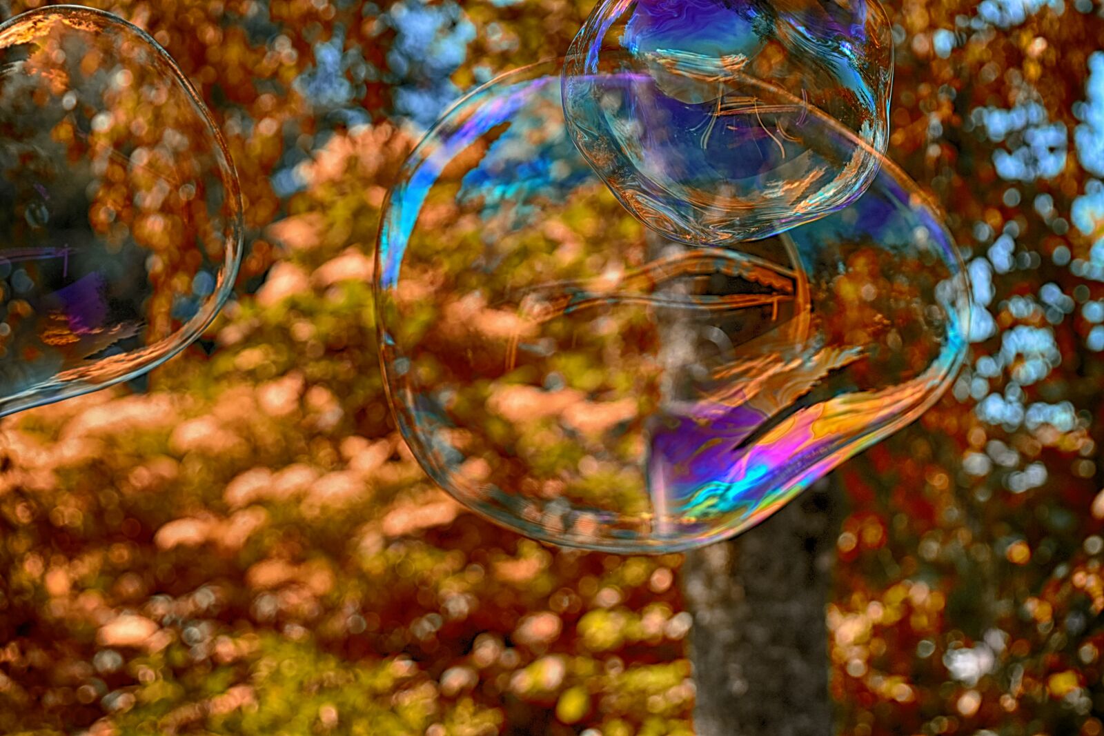 Nikon D7200 sample photo. Soap bubble, huge, large photography