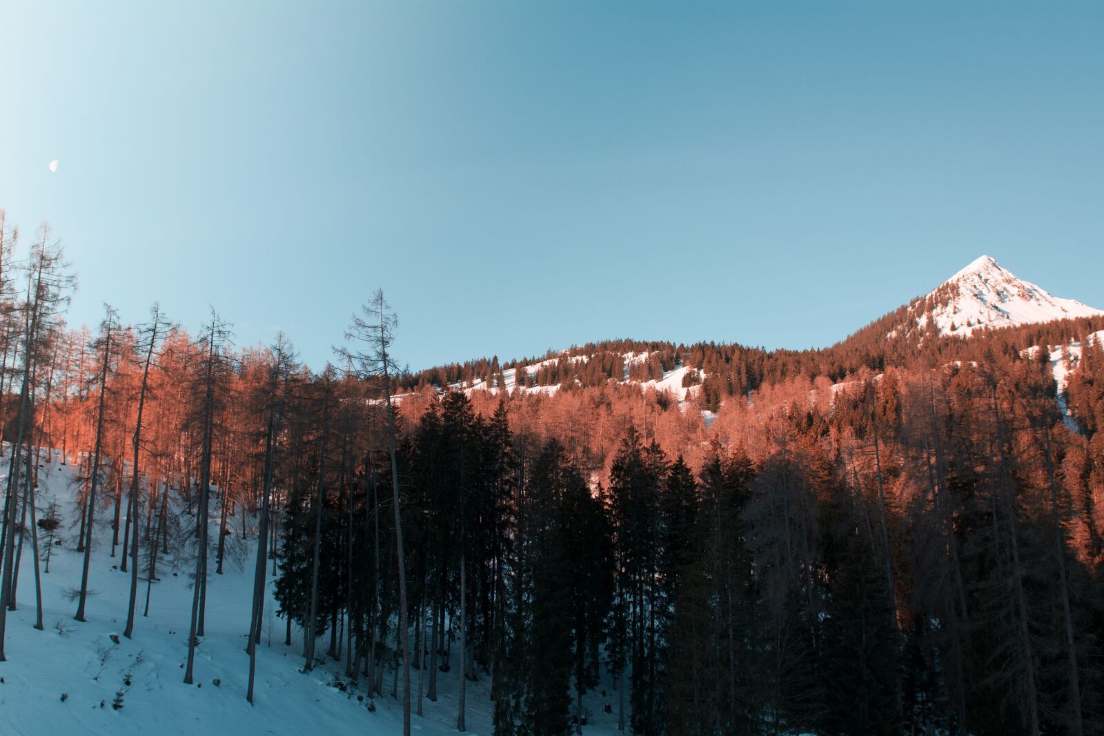 Nikon D7100 sample photo. Landscape, winter, spring photography