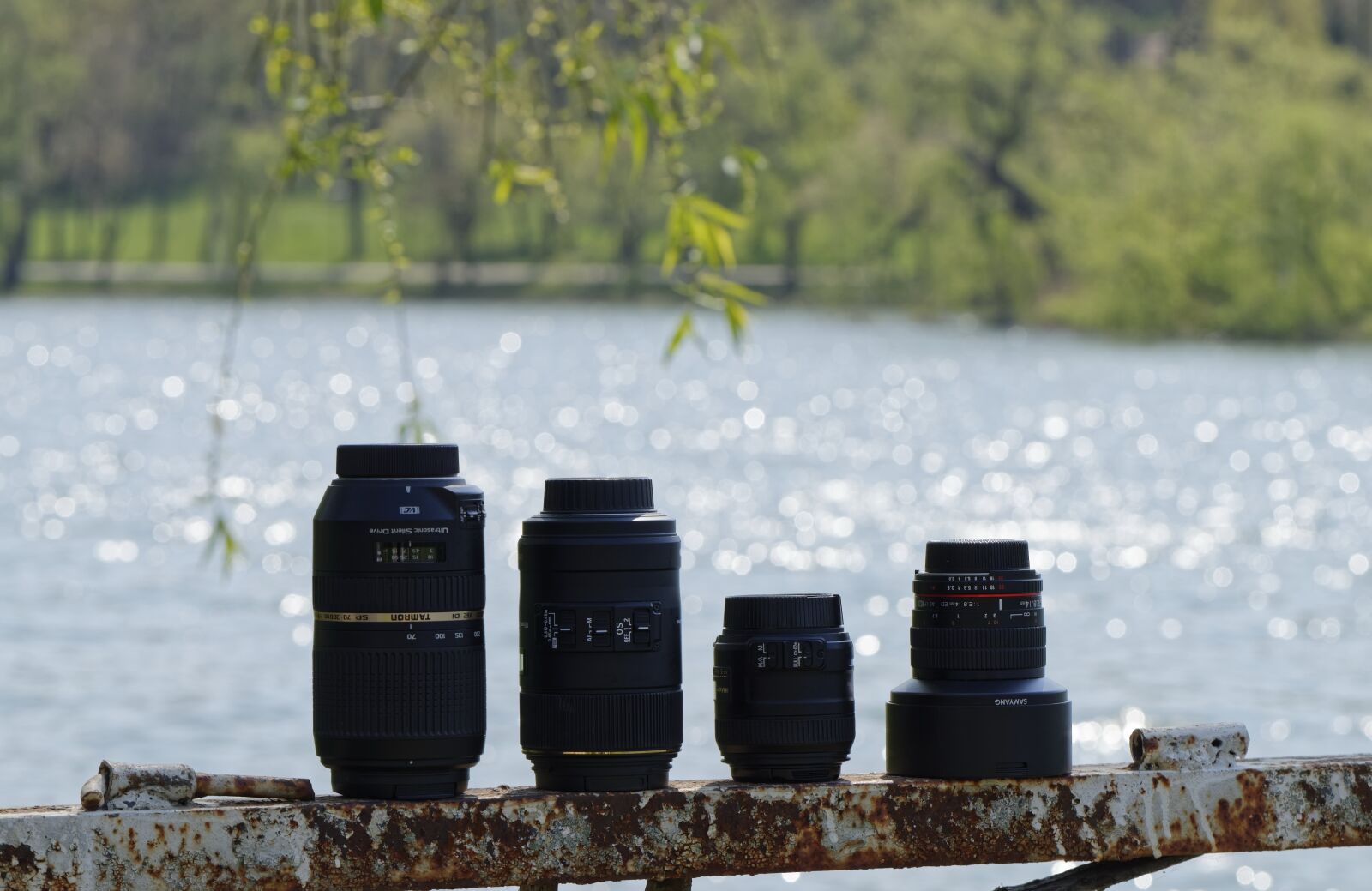 Nikon D5300 sample photo. Landscape, nature, trees photography