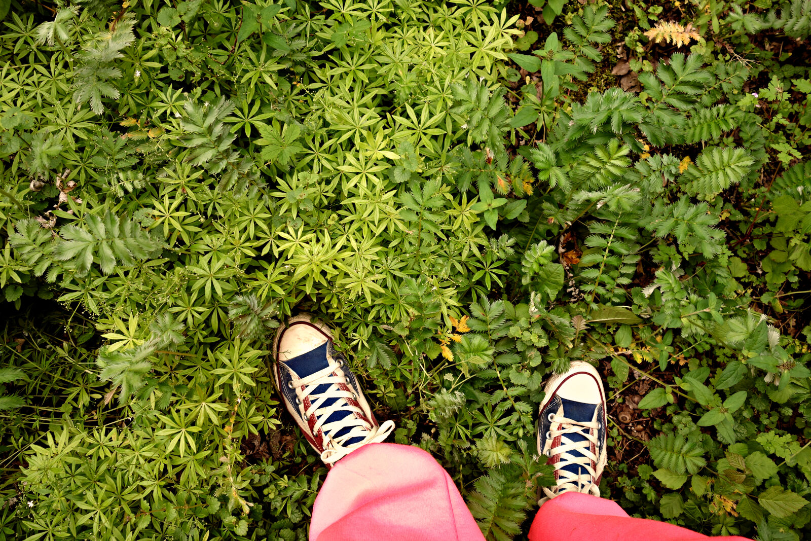 Sony Cyber-shot DSC-RX100 sample photo. Female, foot, green, ground photography